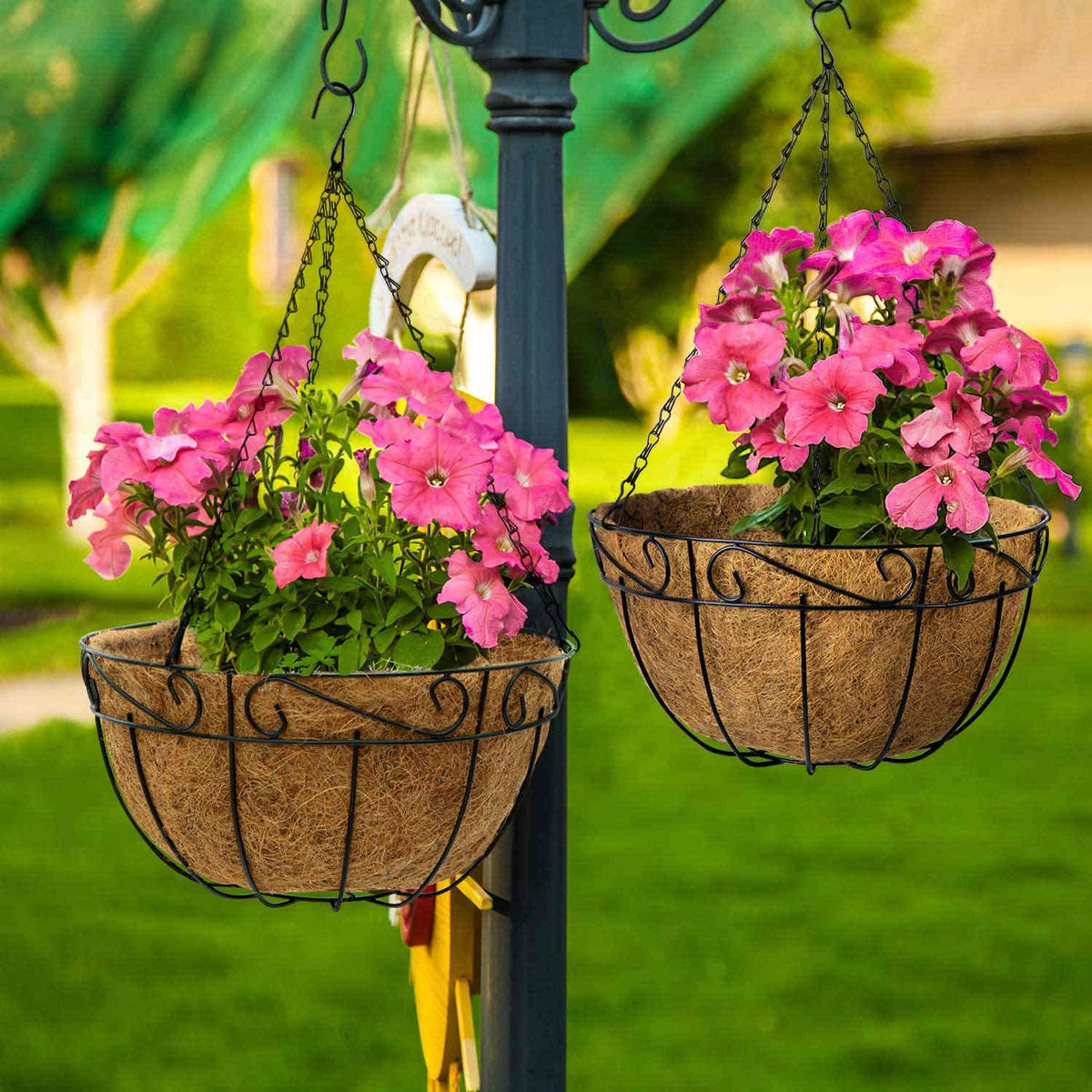 Metal Hanging Planters Plant Hangers Ia Garden