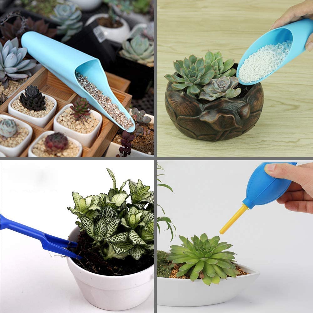 Succulent tools