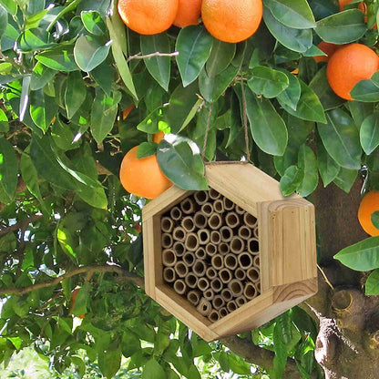 Handmade Natural Bamboo Bee Hive 