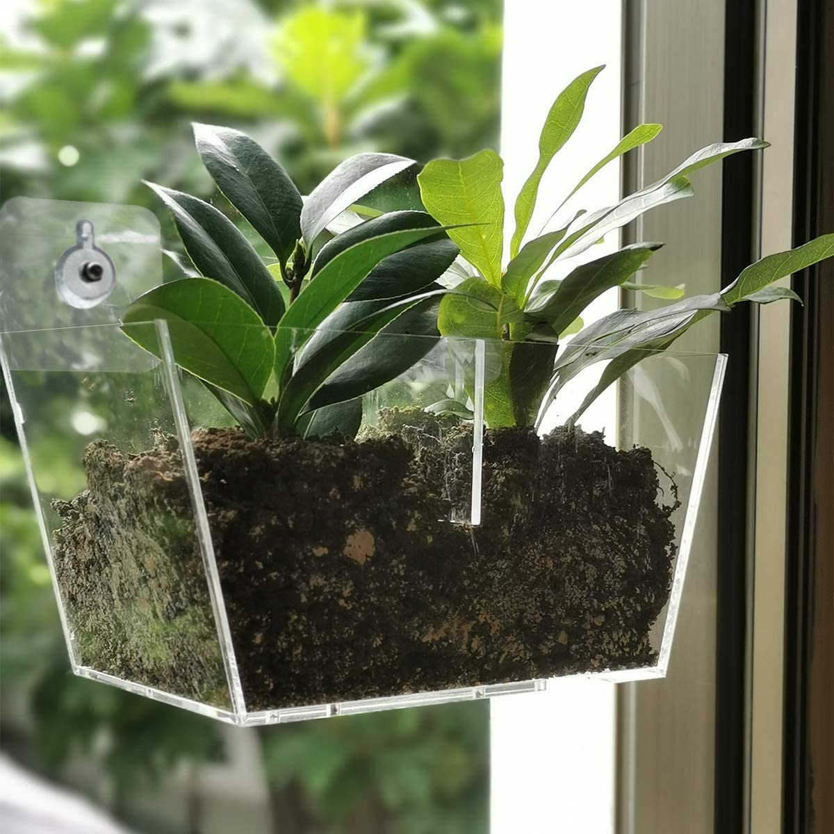 Acrylic Window Planter Boxes
