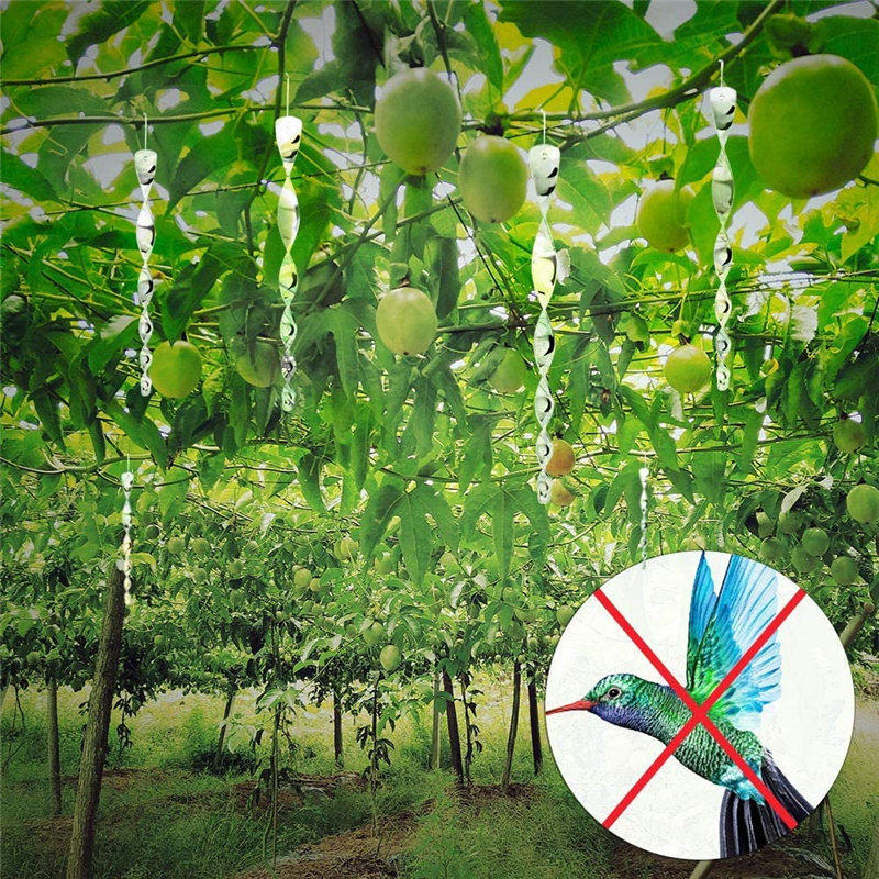 Bird Repellent Devices Ia Garden