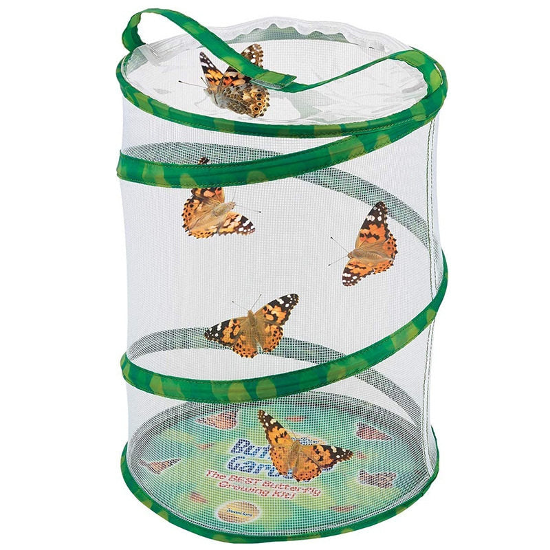 Butterfly Growing Kit