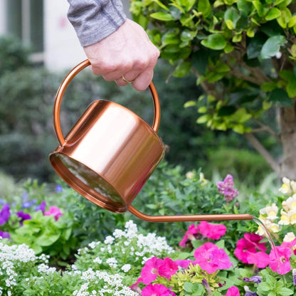 Copper Colored Watering Can for Outdoor and Indoor House Plants