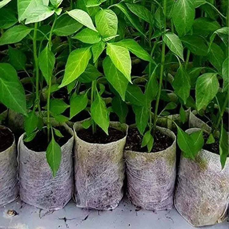 Degradable Non-Woven Plant Nursery Bags