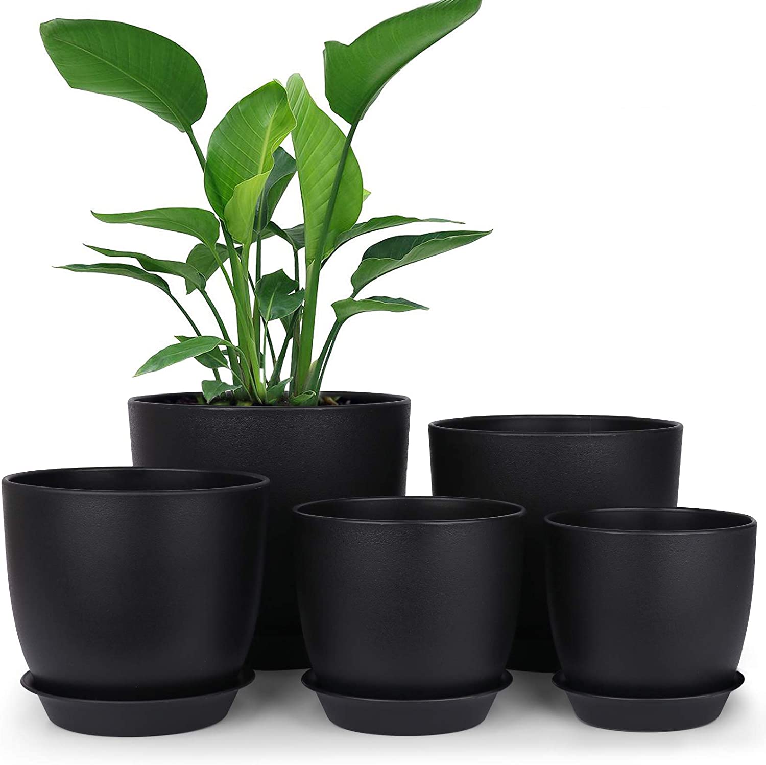 Modern Decorative Plastic Pots for Plants