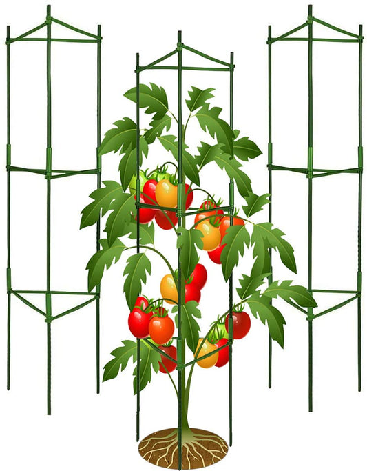 Plant Trellis Plant Climbing Frame for Tomato And Vine Vegetable