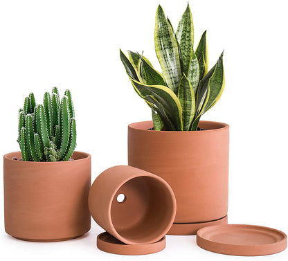 Plant pots Terracotta Pots